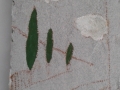 20150421_115529